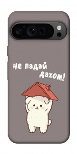 Чехол Не падай дахом для Google Pixel 9 Pro