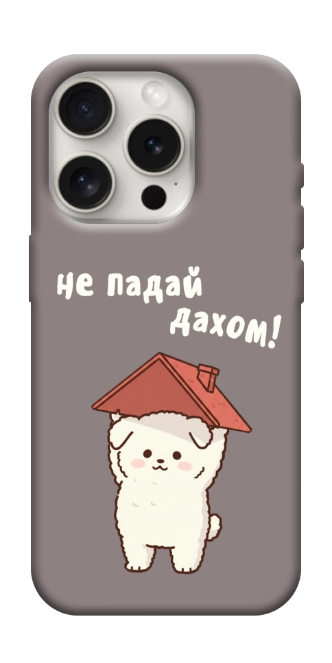 Чохол Не падай дахом для iPhone 16 Pro Max