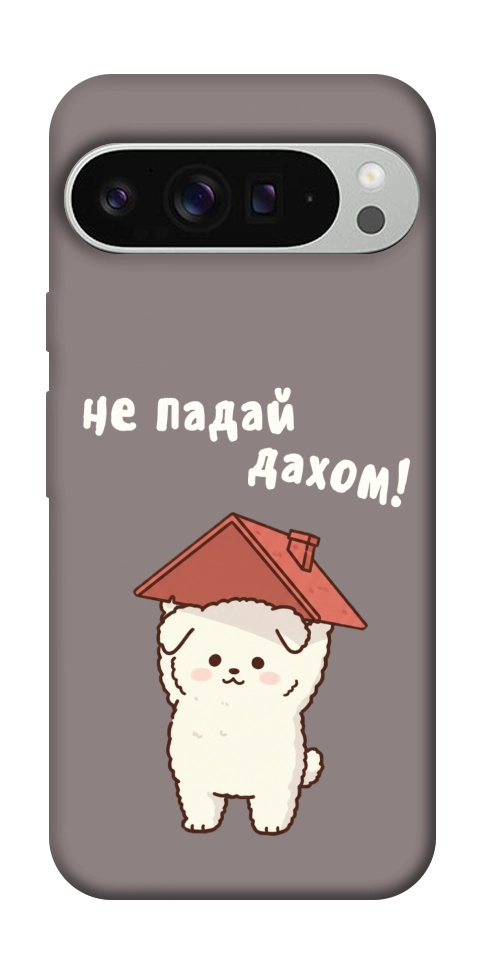 Чохол Не падай дахом для Google Pixel 9 Pro XL