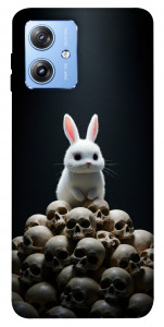 Чехол Bunny bones для Motorola Moto G84