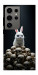 Чехол Bunny bones для Galaxy S24 Ultra