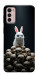 Чехол Bunny bones для Motorola Moto G42