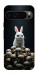 Чехол Bunny bones для Google Pixel 9 Pro