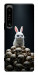 Чохол Bunny bones для Sony Xperia 1 IV