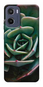 Чехол Эхеверия для Motorola Moto G05