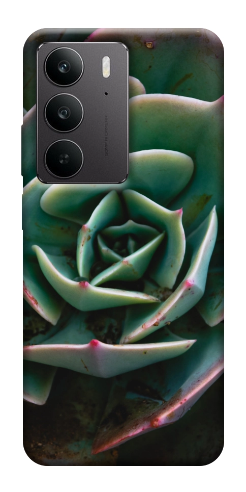 Чехол Эхеверия для Realme C75