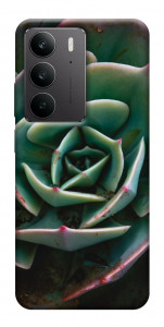 Чехол Эхеверия для Realme C75