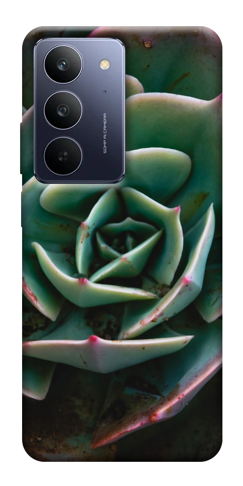 Чехол Эхеверия для Realme C75x