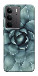 Чехол Суккуленты для Realme C75
