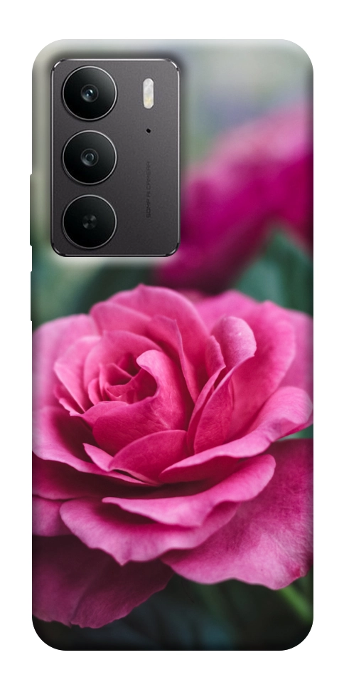 Чехол Роза в саду для Realme C75