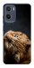 Чехол Рыжий кот для Motorola Moto E15