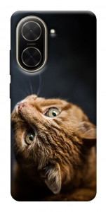 Чохол Рудий кіт для Xiaomi Poco C71