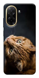 Чехол Рыжий кот для Xiaomi Redmi A5