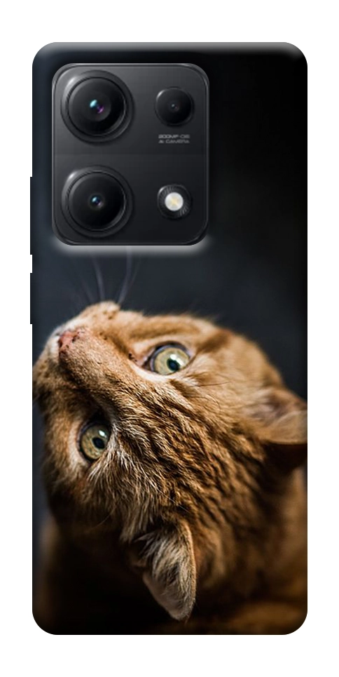 Чехол Рыжий кот для Xiaomi Redmi Note 14S