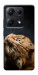 Чехол Рыжий кот для Xiaomi Redmi Note 14S