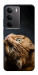 Чехол Рыжий кот для Realme C75