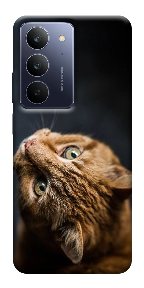 Чехол Рыжий кот для Realme C75x