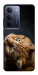 Чехол Рыжий кот для Realme C75x