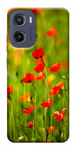 Чехол Маковое поле для Motorola Moto E15