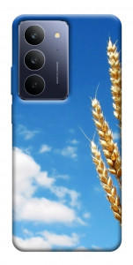 Чехол Пшеница для Realme C75x