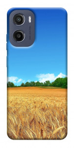 Чехол Пшеничное поле для Motorola Moto E15