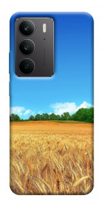 Чехол Пшеничное поле для Realme C75