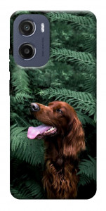 Чехол Собака в зелени для Motorola Moto G05