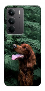 Чехол Собака в зелени для Realme C75