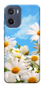 Чехол Ромашковое поле для Motorola Moto E15