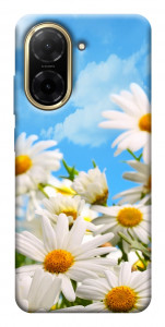 Чохол Ромашкове поле для Xiaomi Redmi A5