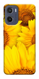 Чехол Букет подсолнухов для Motorola Moto E15