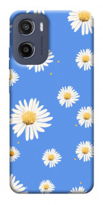 Чехол Chamomile pattern для Motorola Moto E15