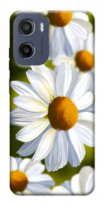 Чехол Ароматная ромашка для Motorola Moto G05