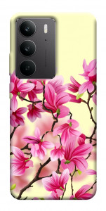 Чехол Цветы сакуры для Realme C75