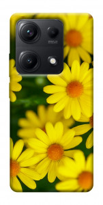 Чехол Yellow chamomiles для Xiaomi Redmi Note 14S