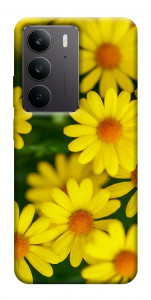 Чехол Yellow chamomiles для Realme C75