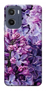 Чехол Violet blossoms для Motorola Moto E15