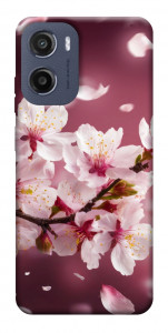 Чехол Sakura для Motorola Moto E15