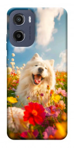 Чехол Happy dog in flowers для Motorola Moto E15