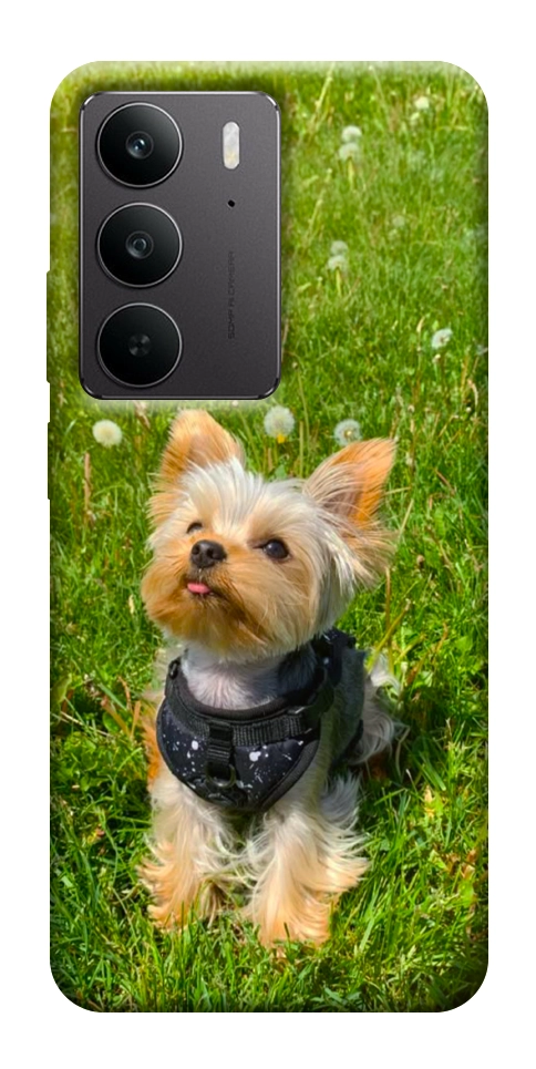 Чехол Йорк в траве для Realme C75