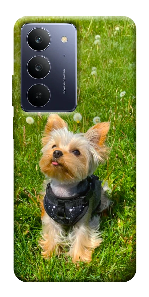 Чехол Йорк в траве для Realme C75x