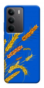 Чехол Колоски для Realme C75