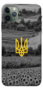 Чехол Душа України для iPhone 11 Pro Max