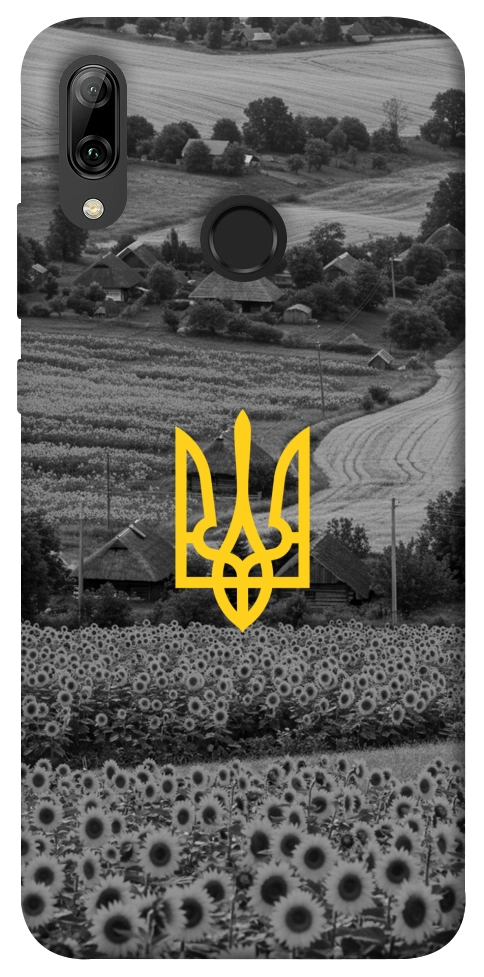 Чехол Душа України для Huawei P Smart (2019)