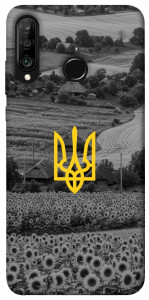 Чехол Душа України для Huawei P30 Lite