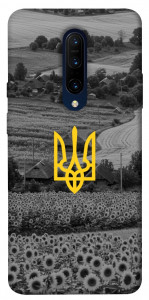 Чехол Душа України для OnePlus 7 Pro