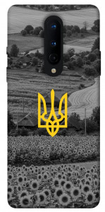 Чохол Душа України для OnePlus 8