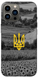 Чехол Душа України для iPhone 12 Pro Max