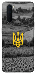Чехол Душа України для OnePlus Nord