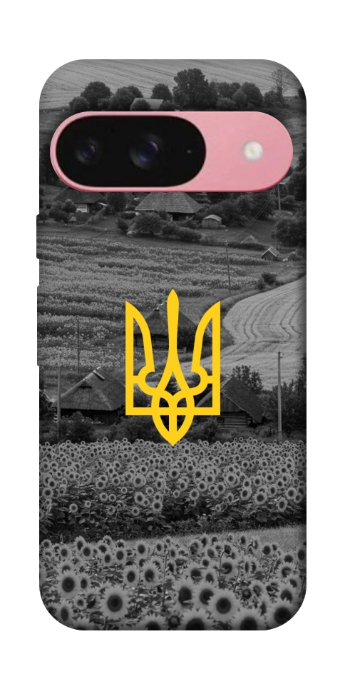Чехол Душа України для Google Pixel 9